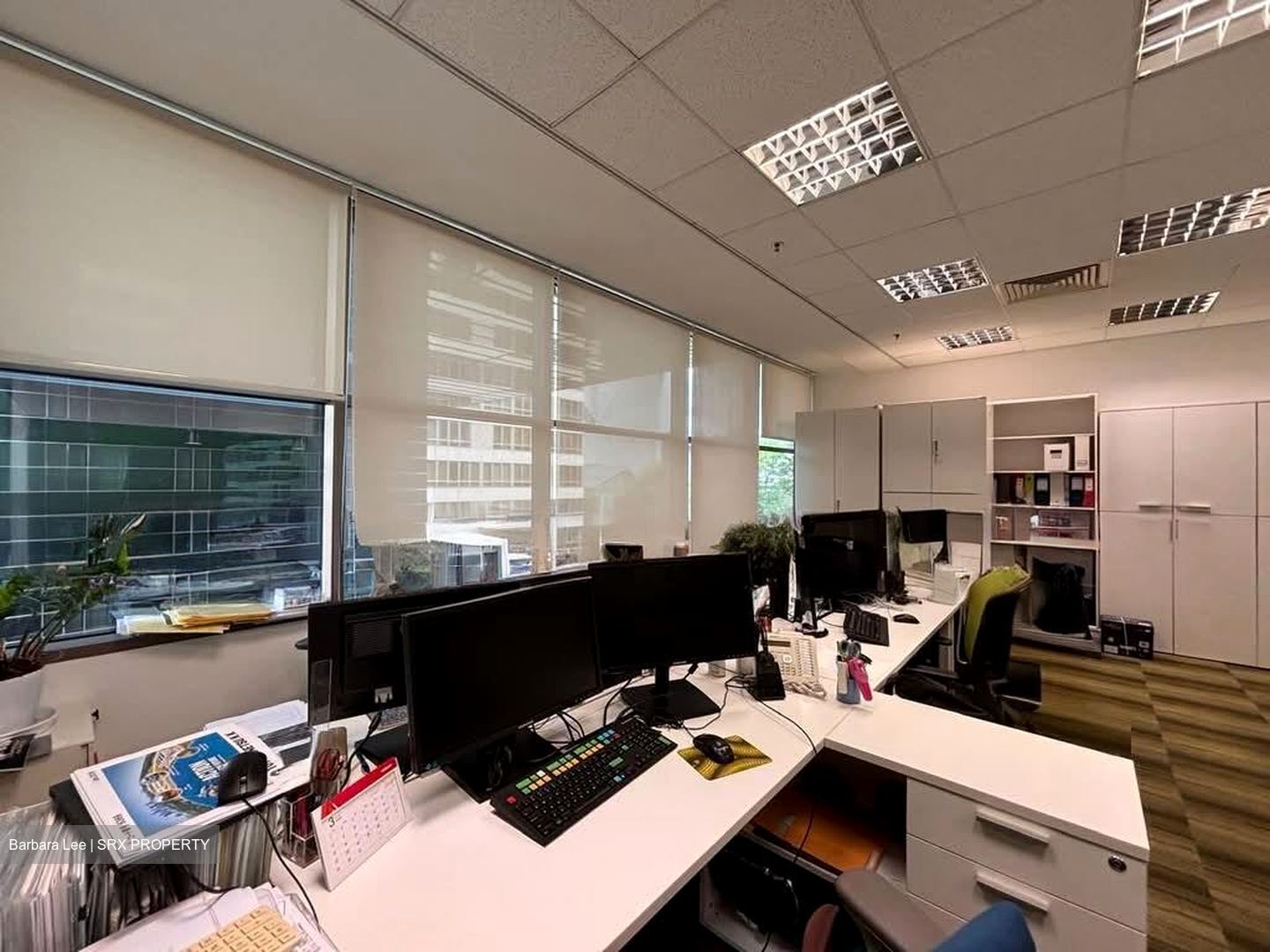 Orchard Plaza (D9), Office #554546631
